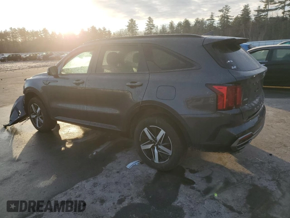 2021 Kia Sorento EX with VIN 5XYRHDLF8MG058381, listed as a Copart auction lot 88867695 with 46,091 mi miles and Salvage Title. Bid and sale history available at DreamBid. Image 2.