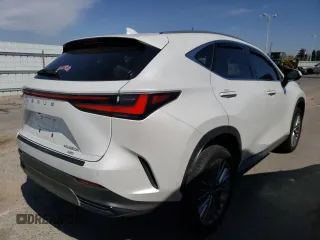2022 Lexus NX 350h Luxury with VIN JTJHKCEZXN2005513, listed as a Copart auction lot 49705234 with 9,656 mi miles and . Bid and sale history available at DreamBid. Image 3.