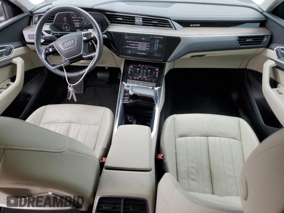 2022 Audi e-tron Premium with VIN WA1AABGE1NB022142, listed as a Copart auction lot 55533575 with 46,599 mi miles and Salvage Title. Bid and sale history available at DreamBid. Image 8.