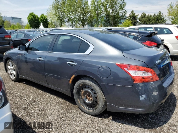 2011 Nissan Maxima SV z VIN 1N4AA5AP4BC828845, wystawiony jako Copart lot #58558205 z przebiegiem 264 268 mil mil oraz Czysty tytuł • Clean title. Historia ofert i sprzedaży dostępna na DreamBid. Obrazek 2.