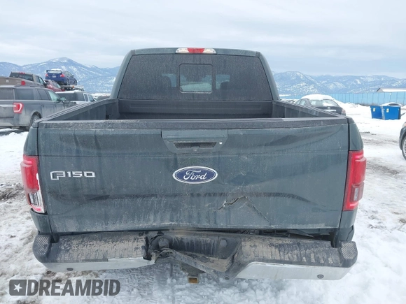 2015 Ford F-150 XLT with VIN 1FTEW1EP6FFB48630, listed as a IAAI auction lot 41597442 with 128,428 mi miles. Bid and sale history available at carsss.com. Image 16.