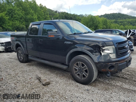 2013 Ford F-150 XL with VIN 1FTFW1EF5DKD04673, listed as a Copart auction lot 60316705 with 308,347 mi miles and Salvage title. Bid and sale history available at DreamBid. Image 4.