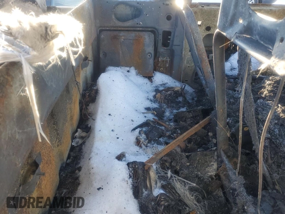 2002 Ford Ranger XL z VIN 1FTZR15E52TA65175, wystawiony jako Copart lot #87667585 z przebiegiem Nie podano mil oraz Szkoda całkowita • Salvage title. Historia ofert i sprzedaży dostępna na DreamBid. Obrazek 10.