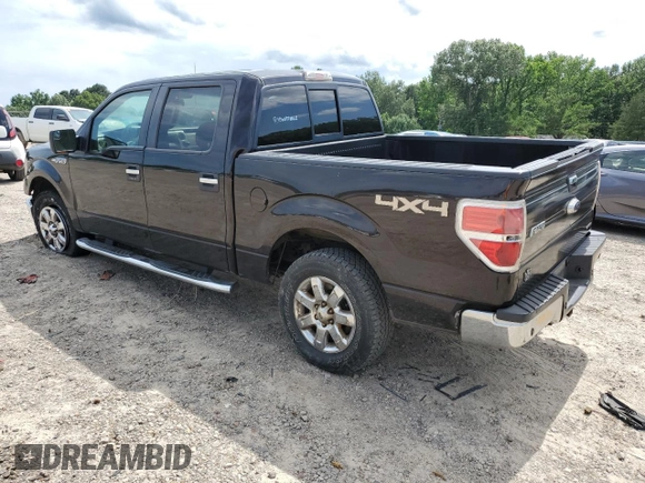 2014 Ford F-150 XL with VIN 1FTFW1EF4EKD49721, listed as a Copart auction lot 61695615 with 217,493 mi miles and Salvage title. Bid and sale history available at DreamBid. Image 2.