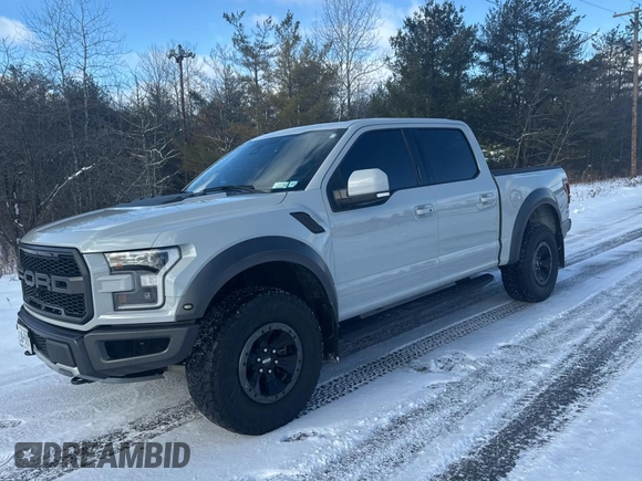 2017 Ford F-150 Raptor with VIN 1FTFW1RG2HFC90216, listed as a Copart auction lot 84215594 with 83,438 mi miles and Clean Title. Bid and sale history available at carsss.com. Image 2.
