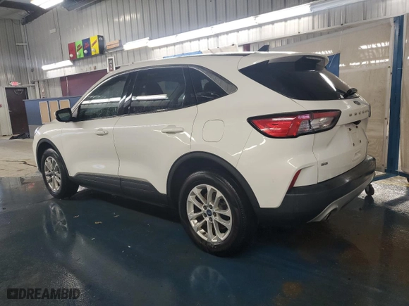 2021 Ford Escape SE with VIN 1FMCU9G63MUB08025, listed as a Copart auction lot 50927325 with 117,570 mi miles and Clean Title. Bid and sale history available at carsss.com. Image 2.