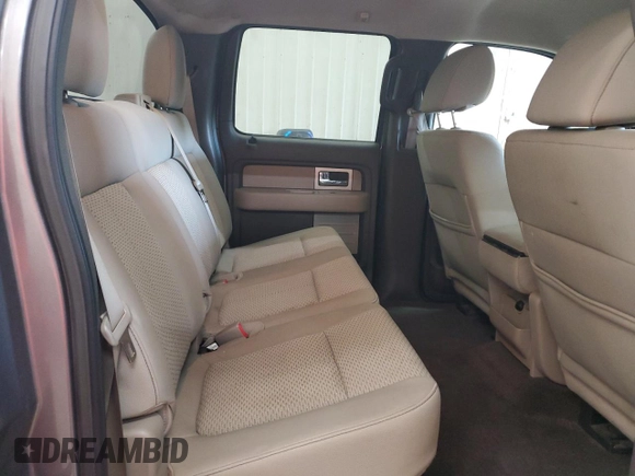 2010 Ford F-150 XL with VIN 1FTFW1EV5AKE16361, listed as a Copart auction lot 49160425 with 125,483 mi miles and Non Repairable. Bid and sale history available at carsss.com. Image 10.