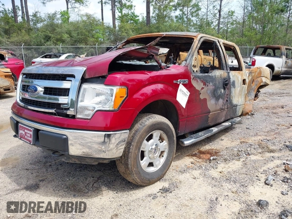 2013 Ford F-150 XL with VIN 1FTFW1EF8DFD13053, listed as a IAAI auction lot 41925557 with Not provided miles and . Bid and sale history available at DreamBid. Image 2.