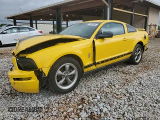 2006 Ford Mustang Standard with VIN 1ZVFT80N065127934, listed as a Copart auction lot 51987095 with Not Provided miles and Salvage Title. Bid and sale history available at carsss.com. Image 1.