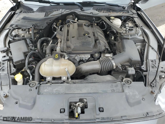 2019 Ford Mustang EcoBoost with VIN 1FATP8UH9K5189959, listed as a Copart auction lot 44203895 with NaN miles and Clean Title. Bid and sale history available at carsss.com. Image 11.