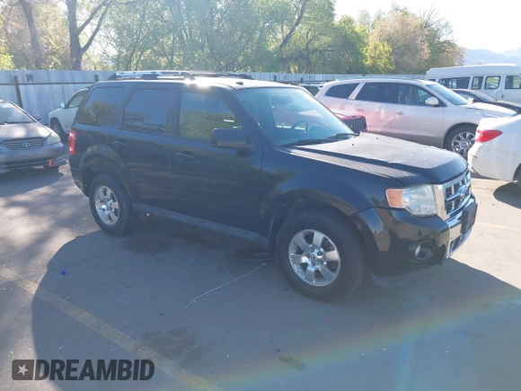 2011 Ford Escape Limited with VIN 1FMCU9EGXBKB66282, listed as a IAAI auction lot 42177063 with 244,515 mi miles. Bid and sale history available at carsss.com. Image 1.