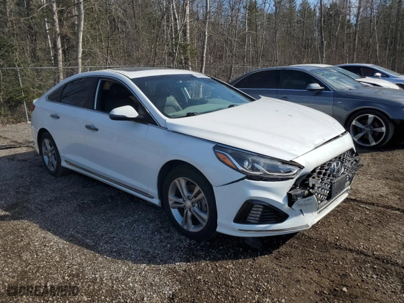 2019 Hyundai Sonata Sport with VIN 5NPE34AF3KH747637, listed as a Copart auction lot 48707865 with 189,257 mi miles and Salvage Title. Bid and sale history available at carsss.com. Image 4.