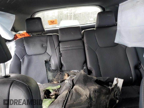 2023 Lexus RX 350 with VIN 2T2BAMCA1PC034705, listed as a Copart auction lot 51819405 with Not provided miles and Clean title. Bid and sale history available at DreamBid. Image 10.