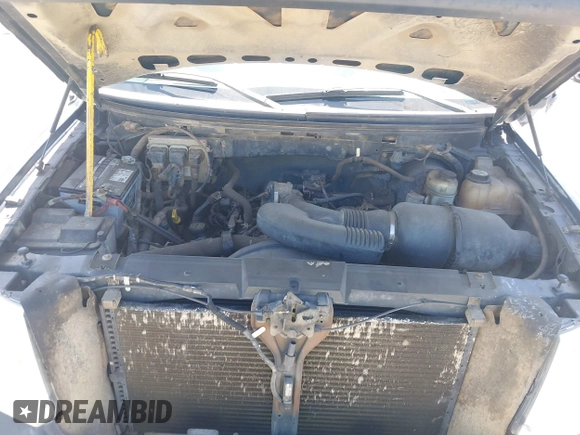 2007 Ford F-150 STX with VIN 1FTRX14W07FA61766, listed as a IAAI auction lot 42349787 with Not provided miles and . Bid and sale history available at DreamBid. Image 10.
