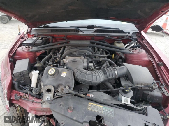 2006 Ford Mustang GT Deluxe with VIN 1ZVHT85H965218583, listed as a Copart auction lot 47799365 with Not Provided miles and Salvage Title. Bid and sale history available at carsss.com. Image 12.