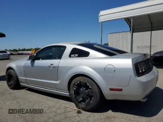 2006 Ford Mustang Standard with VIN 1ZVFT80N165219229, listed as a Copart auction lot 60684965 with 171,273 mi miles and Salvage title. Bid and sale history available at DreamBid. Image 2.