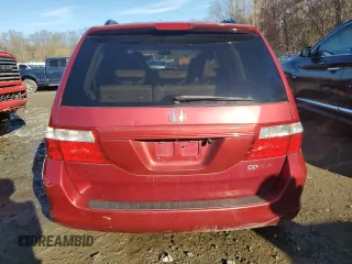 2005 Honda Odyssey EX-L with VIN 5FNRL38675B070239, listed as a Copart auction lot 49959515 with 217,089 mi miles and Salvage Title. Bid and sale history available at carsss.com. Image 6.