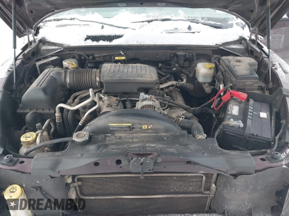 2005 Dodge Dakota SLT with VIN 1D7HW42N65S305733, listed as a IAAI auction lot 41289814 with 149,226 mi miles and . Bid and sale history available at DreamBid. Image 10.