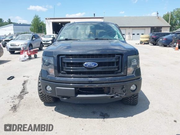 2013 Ford F-150 XL with VIN 1FTFX1EF5DFC97181, listed as a IAAI auction lot 42555151 with 140,137 mi miles and . Bid and sale history available at DreamBid. Image 12.