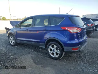 2014 Ford Escape SE with VIN 1FMCU0GX5EUE21079, listed as a Copart auction lot 49684035 with 120,238 mi miles and Salvage Title. Bid and sale history available at carsss.com. Image 2.