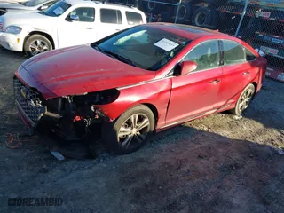 2019 Hyundai Sonata Sport with VIN 5NPE34AFXKH736229, listed as a IAAI auction lot 41355059 with 116,236 mi miles. Bid and sale history available at carsss.com. Image 17.