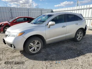 2013 Acura RDX with VIN 5J8TB4H36DL801759, listed as a Copart auction lot 53541295 with 300,160 mi miles and Salvage Title. Bid and sale history available at carsss.com. Image 1.