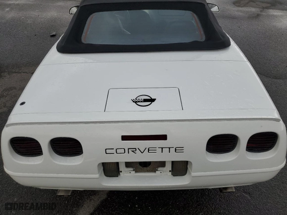 1995 Chevrolet Corvette with VIN 1G1YY32P3S5118646, listed as a Copart auction lot 81766814 with 125,521 mi miles and Salvage Title. Bid and sale history available at carsss.com. Image 10.