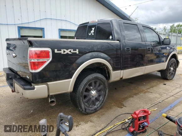 2010 Ford F-150 XL with VIN 1FTFW1EV7AKA98081, listed as a Copart auction lot 58248075 with 262,250 mi miles and Salvage title. Bid and sale history available at DreamBid. Image 3.