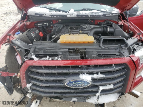2016 Ford F-150 XLT with VIN 1FTEW1EP9GFD04743, listed as a Copart auction lot 49838685 with 0 mi miles and Clean Title. Bid and sale history available at carsss.com. Image 12.
