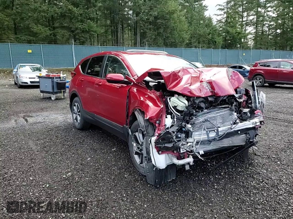 2021 Honda CR-V EX with VIN 2HKRW2H53MH629083, listed as a Copart auction lot 49008615 with Not Provided miles and Salvage Title. Bid and sale history available at carsss.com. Image 12.