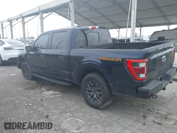 2022 Ford F-150 XL with VIN 1FTEW1E80NFB07689, listed as a IAAI auction lot 41891624 with 41,515 mi miles and . Bid and sale history available at carsss.com. Image 3.