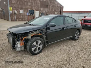2019 Hyundai Ioniq z VIN KMHC65LD1KU173007, wystawiony jako Copart lot #77186964 z przebiegiem 112 832 mil mil oraz Szkoda całkowita • Salvage title. Historia ofert i sprzedaży dostępna na DreamBid. Obrazek 1.