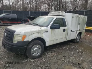 2009 Ford F-150 XL with VIN 1FTRF12W79KA39666, listed as a Copart auction lot 85530274 with Not Provided miles and Non Repairable. Bid and sale history available at carsss.com. Image 1.