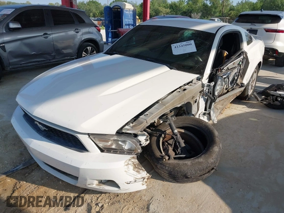 2012 Ford Mustang Premium with VIN 1ZVBP8AM1C5246631, listed as a IAAI auction lot 42345000 with 146,101 mi miles and . Bid and sale history available at DreamBid. Image 18.