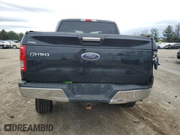 2016 Ford F-150 XLT with VIN 1FTEW1EP3GKD07399, listed as a Copart auction lot 51590505 with 132,642 mi miles and Salvage title. Bid and sale history available at DreamBid. Image 6.