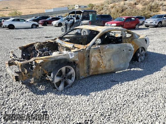 2023 Ford Mustang GT with VIN 1FA6P8CFXP5299987, listed as a Copart auction lot 71877994 with Not Provided miles and Non Repairable. Bid and sale history available at DreamBid. Image 1.