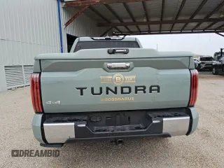 2024 Toyota Tundra 1794 Edition with VIN 5TFMA5DB3RX172812, listed as a Copart auction lot 76068904 with 15,643 mi miles and Clean title. Bid and sale history available at DreamBid. Image 6.