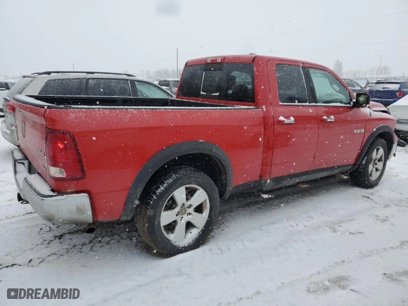 2010 Dodge Ram 1500 ST with VIN 1D7RV1GP0AS133161, listed as a Copart auction lot 87186654 with 204,667 mi miles and Clean Title. Bid and sale history available at carsss.com. Image 3.
