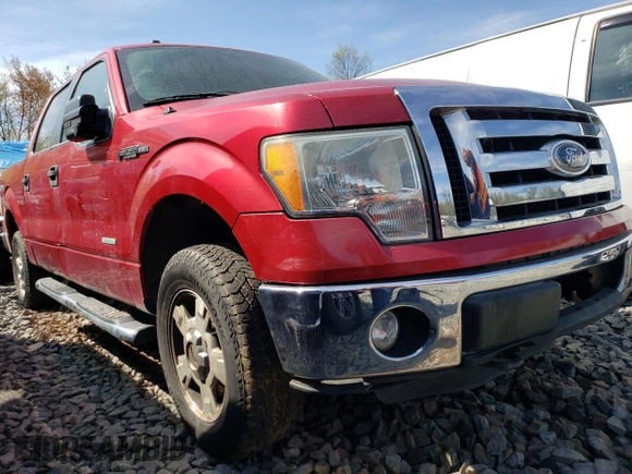 2011 Ford F-150 XLT with VIN 1FTFW1ET0BFA54142, listed as a Copart auction lot 53784325 with 214,341 mi miles and Clean Title. Bid and sale history available at carsss.com. Image 4.