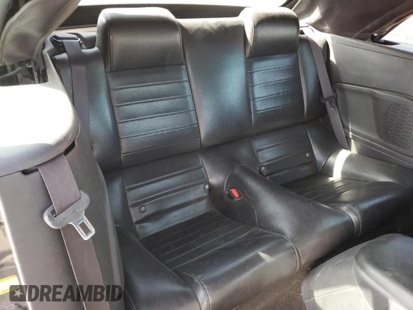 2005 Ford Mustang GT Deluxe with VIN 1ZVHT85H455247309, listed as a Copart auction lot 46153465 with 138,258 mi miles and Salvage Title. Bid and sale history available at DreamBid. Image 10.