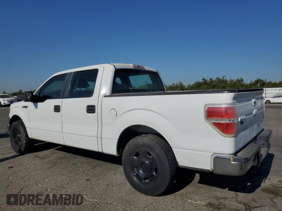2009 Ford F-150 XL with VIN 1FTRW12W19KC95673, listed as a Copart auction lot 65025015 with 113,221 mi miles and Non repairable. Bid and sale history available at DreamBid. Image 2.