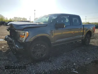 2021 Ford F-150 XL with VIN 1FTFW1E55MFA77310, listed as a Copart auction lot 56179055 with 48,990 mi miles and Salvage title. Bid and sale history available at DreamBid. Image 1.