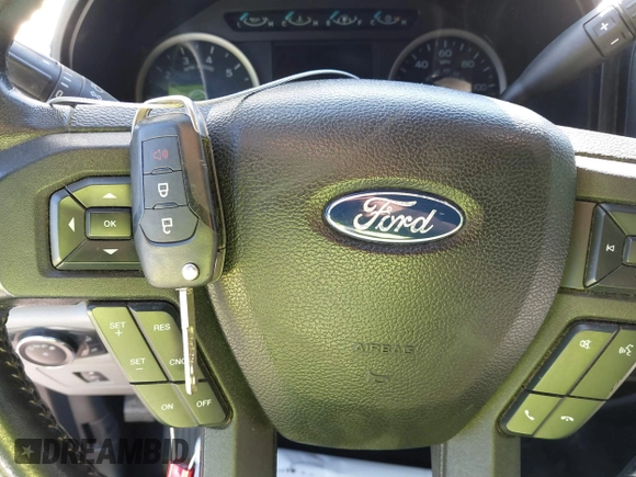 2017 Ford F-150 XL with VIN 1FTEX1CG5HKC87769, listed as a IAAI auction lot 41711952 with 147,486 mi miles. Bid and sale history available at carsss.com. Image 11.