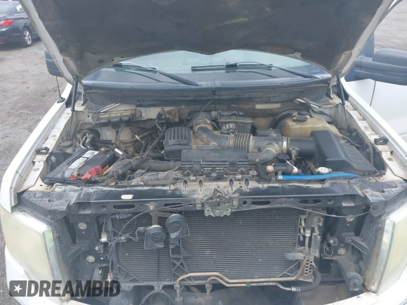 2009 Ford F-150 XL with VIN 1FTPW14V19FA21197, listed as a IAAI auction lot 42196261 with 279,992 mi miles and . Bid and sale history available at DreamBid. Image 10.