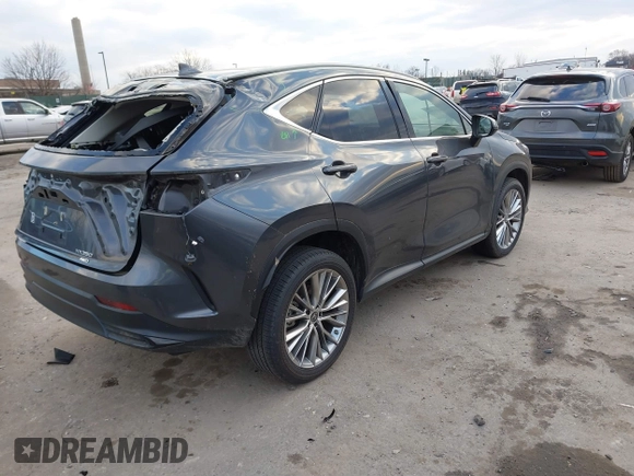 2023 Lexus NX with VIN 2T2HGCEZ2PC024481, listed as a IAAI auction lot 41203195 with 1 mi miles. Bid and sale history available at carsss.com. Image 4.
