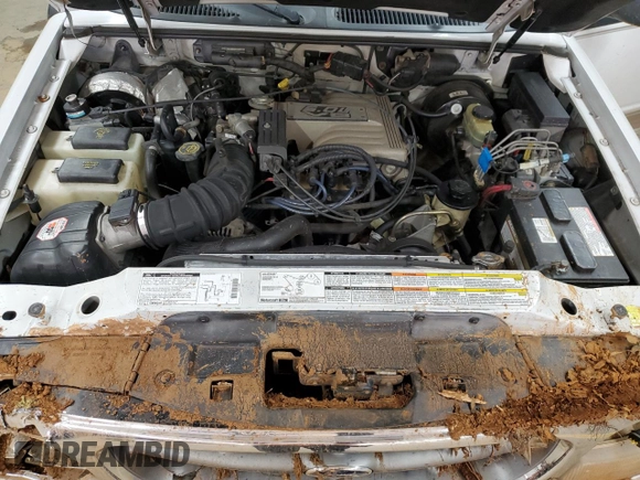 1998 Ford Explorer XLT with VIN 1FMZU32P2WZC01373, listed as a Copart auction lot 88286335 with 213,872 mi miles and Salvage title. Bid and sale history available at DreamBid. Image 14.