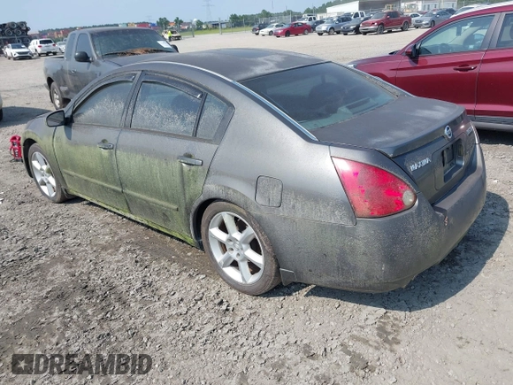 2006 Nissan Maxima SE with VIN 1N4BA41E96C823563, listed as a IAAI auction lot 42576331 with 204,896 mi miles and . Bid and sale history available at DreamBid. Image 3.