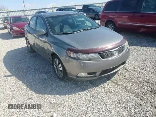 2013 Kia Forte EX with VIN KNAFU4A25D5672809, listed as a Copart auction lot 46978785 with 175,173 mi miles and Salvage Title. Bid and sale history available at carsss.com. Image 11.