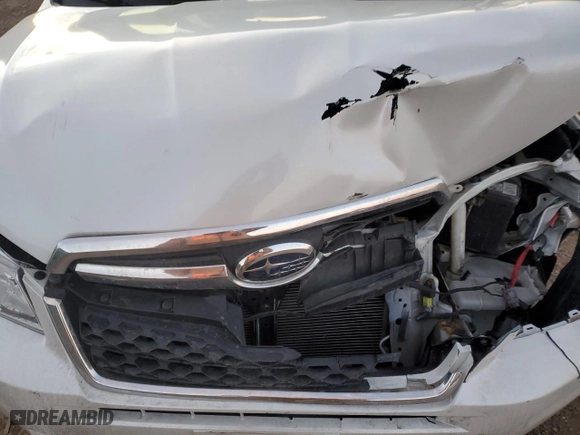 2015 Subaru Forester 2.5i Premium with VIN JF2SJADC4FH453405, listed as a Copart auction lot 42423735 with 74,005 mi miles and Salvage Title. Bid and sale history available at carsss.com. Image 13.