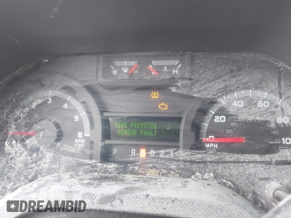 2014 Ford Econoline Passenger XL with VIN 1FBSS3BL2EDA66713, listed as a IAAI auction lot 42413113 with 255,430 mi miles and . Bid and sale history available at DreamBid. Image 7.